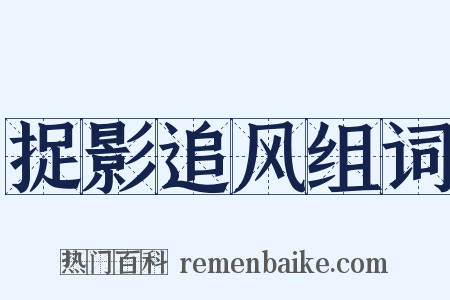 捉影追风组词是什么意思的图片